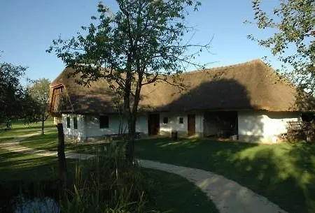 Guest Sinjor