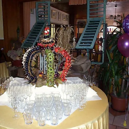 Guest Sinjor