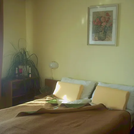 Guest Sinjor