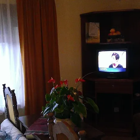 Guest Sinjor